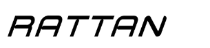 Rattane Bike